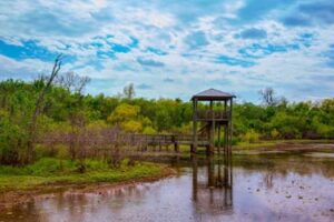 Yonkes en Bastrop Texas